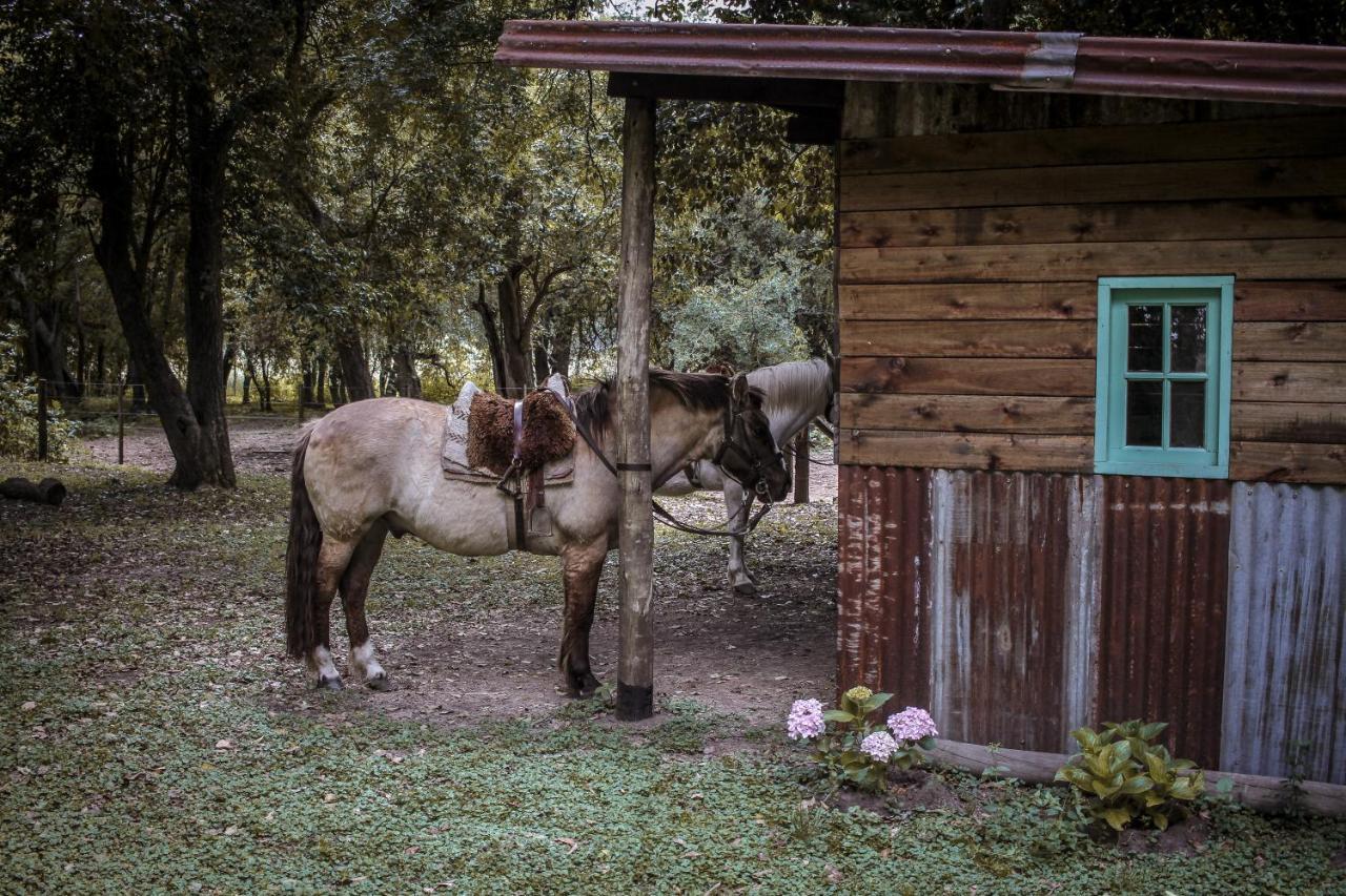 Raucho Eco Guesthouse San Antonio de Areco Exterior photo